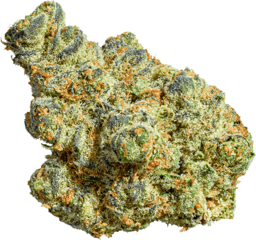 Apple Fritter image 1